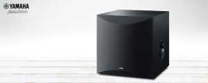 loa siêu trầm NS-SW100